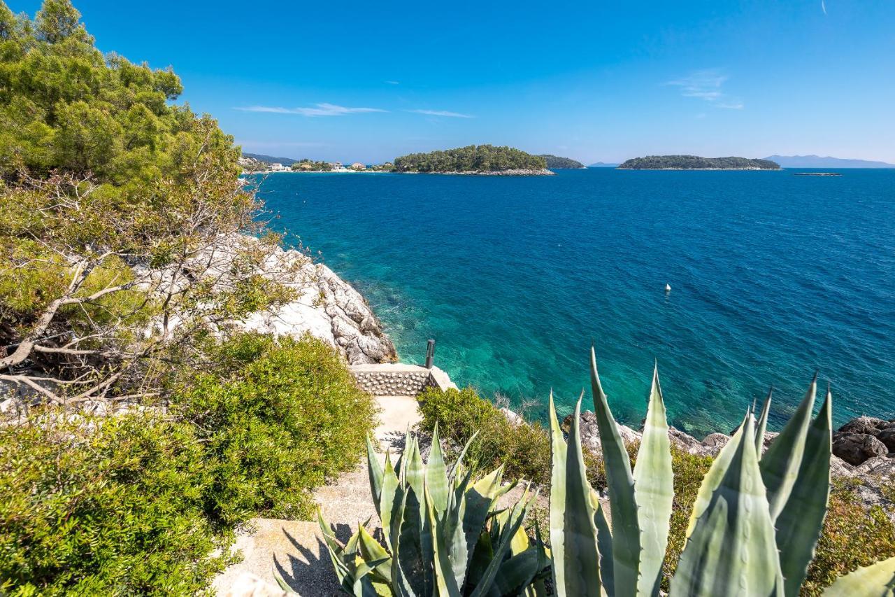 Apartament Cerin Prizba Blato (Korcula)